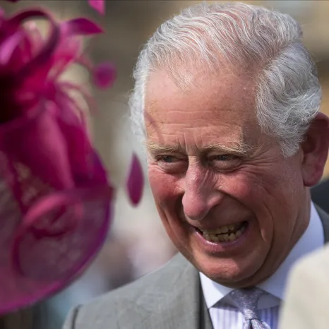 The King speaks to a guest at a Garden Party