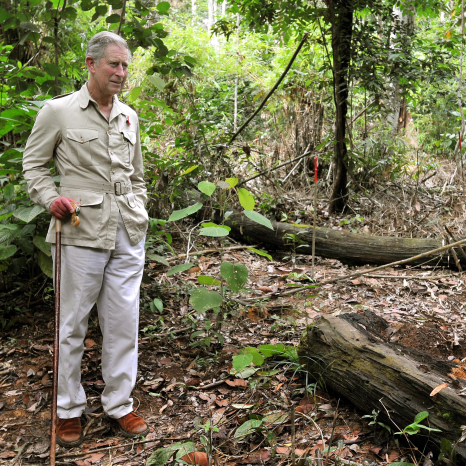 The King visits the Harapan Rainforest in Indonesia
