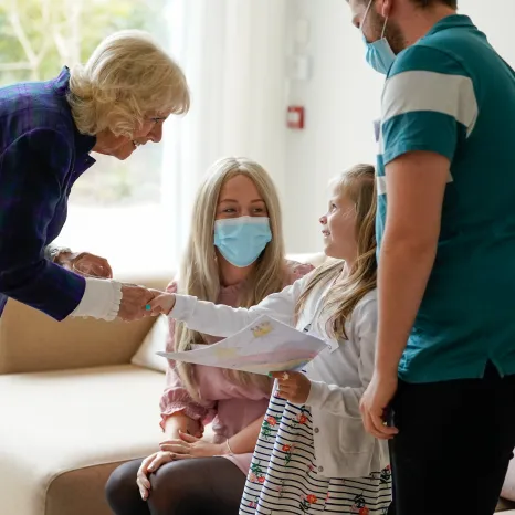 The Queen and Health Organisations