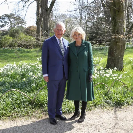 The King and Queen in Northern Ireland