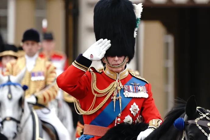 The King takes the salute, wearing a bearskin hat