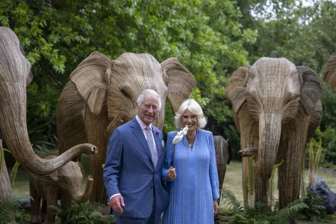 The King and Queen attend the Animal Ball