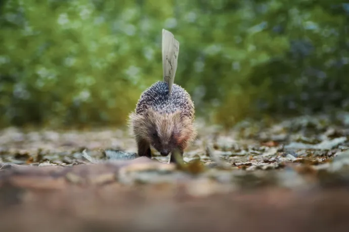 A special delivery for David Attenborough