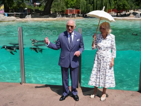 The King and Queen visit Penguin Beach at London Zoo
